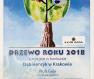 Wręczenie nagrody za zajęcie przez Dąb Henryk z Krakowa II miejsca w konkursie Drzewo Roku 2018 