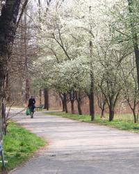 Wiosenne spojrzenie na problemy Parku Solvay